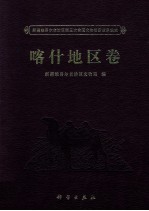 新疆维吾尔自治区第三次全国文物普查成果集成  喀什地区卷