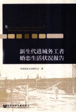 新生代时城务工者婚恋生活状况报告