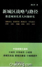 新城区战略与路径  推进城镇化重大问题研究