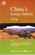 CHINA'S ENERGY OUTLOOK 2004