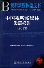 中国视听新媒体发展报告  2013