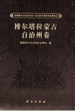 新疆维吾尔自治区第三次全国文物普查成果集成  博尔塔拉蒙古自治州卷