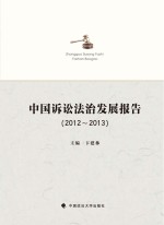 中国诉讼法治发展报告  2012-2013