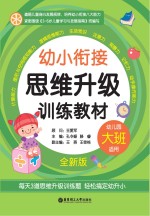 幼小衔接思维升级训练教材  大班  全新版