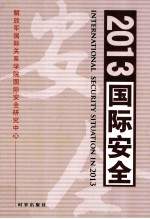 2013国际安全