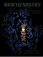 BIOCHEMISTRY  SECOND EDITION