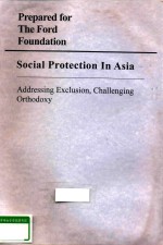 PREPARED FOR THE FORD FOUNDATION SOCIAL PROTECTION IN ASIA ADDRESSING EXCLUSION