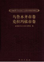 新疆维吾尔自治区第三次全国文物普查成果集成  乌鲁木齐市卷、克拉玛依市卷