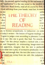 THE THEORY OF READING