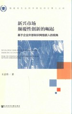 新兴市场颠覆性创新的崛起  基于企业外部知识网络嵌入的视角