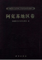 新疆维吾尔自治区第三次全国文物普查成果集成  阿克苏地区卷