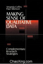 MAKING SENSE OF QUALITATIVE DATA  COMPLEMENTARY RESEARCH STRATEGIES