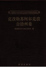 新疆维吾尔自治区第三次全国文物普查成果集成  克孜勒苏柯尔克孜自治州卷