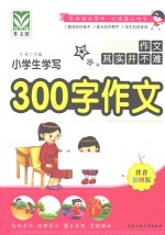 小学生学写300字作文