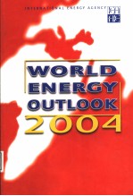 WORLD ENERGY OUTLOOK 2004