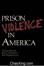 PRION VIOLENCE IN AMERICA