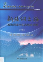 新丝绸之路城市河湖水生态综合治理  下