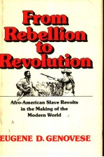 FROM REBELLION TO REVOLUTION  AFRO-AMERICAN SLAVE REVOLTS IN THE MAKING OF THE MODERN WORLD