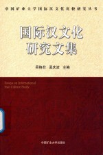 中国矿业大学国际汉文化比较研究丛书  国际汉文化研究文集