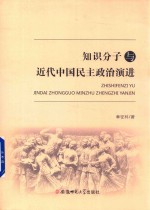 知识分子与近代中国民主政治演进