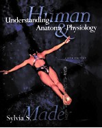 UNDERSTANDING ANATOMY PHYSIOLOGY  FIFTH EDITION