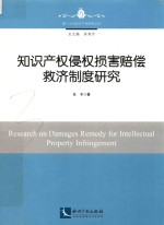 厦门大学知识产权研究丛书  知识产权侵权损害赔偿救济制度研究