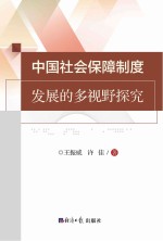 中国社会保障制度发展的多视野探究