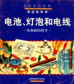 电池、灯泡和电线  电和磁的科学