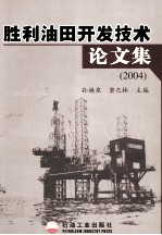 胜利油田开发技术论文集  2004