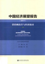 中国经济展望报告  2017  供给侧改革与经济波动