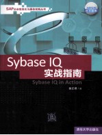 Sybase IQ实战指南