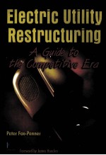 ELECTRIC UTILITY RESTRUCTURING:A GUIDE TO THE COMPETITIVE ERA