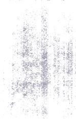 Transportation Networks and the Optimal Location of Human Activities A Numerical TGeography Approach