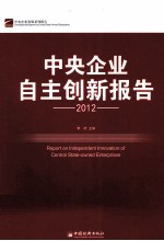 中央企业自主创新报告  2012