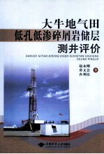 大牛地气田低孔低渗碎屑岩储层测井评价
