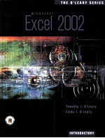 MICROSOFT EXCEL 2002 INTRODUCTORY EDITION