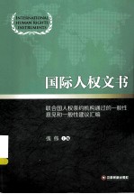 国际人权文书  联合国人权条约机构通过的一般性意见和一般性建议汇编