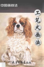 工笔犬画法