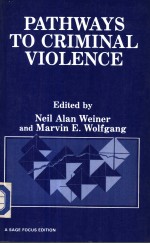 PATHWAYS TO CRIMINAL VIOLENCE