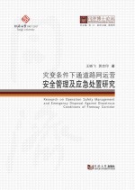 灾变条件下通道路网运营安全管理及应急处置研究