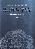 1998-2007年度考古发掘调查报告  渤海上京城  上