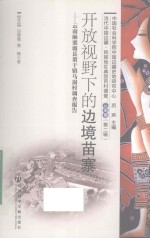 开发视野下的边境苗寨  云南麻栗坡县董千镇马崩存调查报告