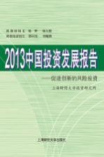 2013中国投资发展报告  促进创新的风险投资