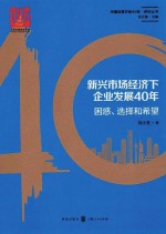 新兴市场经济下企业发展40年  困惑、选择和希望