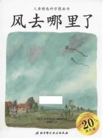 儿童精选科学图画书  风去哪里了