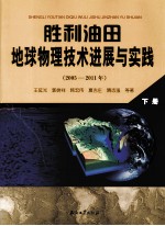 胜利油田地球物理技术进展与实践  下  2005-2011年