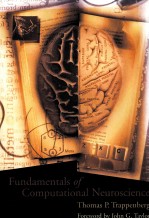 FUNDAMENTALS OF COMPUTATIONAL NEUROSCIENCE