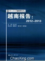 越南报告  2012-2013