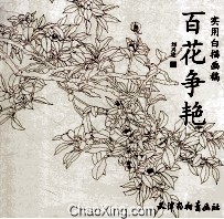 百花争艳