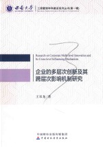 企业的多层次创新及其跨层次影响机制研究